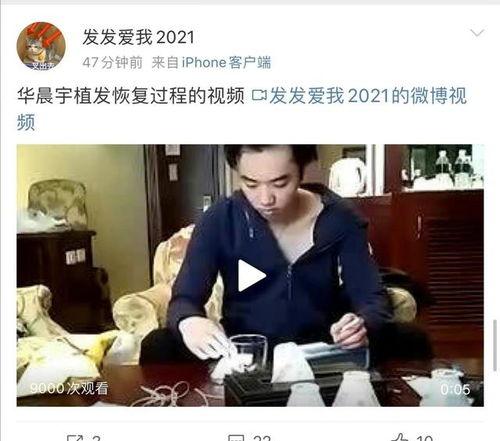 张碧晨律师爆料视频大全,揭秘娱乐圈惊人内幕 第2张 张碧晨律师爆料视频大全,揭秘娱乐圈惊人内幕 第2张